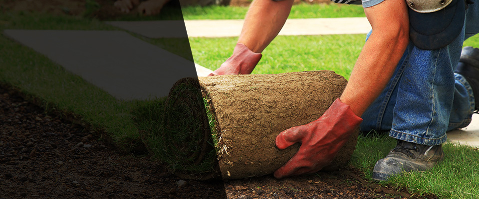 Rio Grande Landscapers